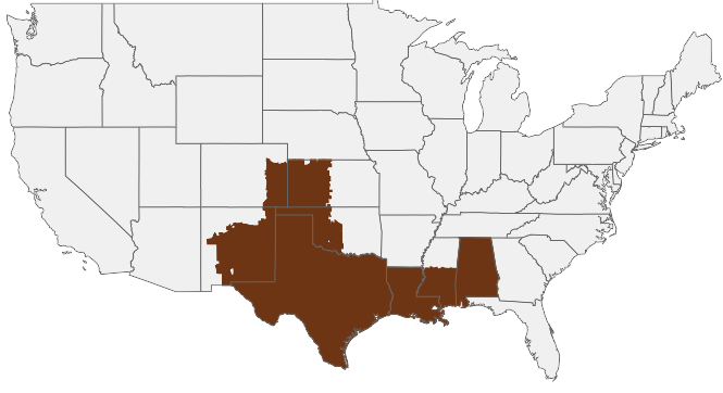 HIRING AREA