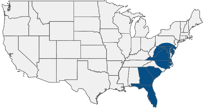 Leading Logistics Hiring Area
