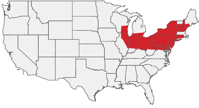 HIRING AREA