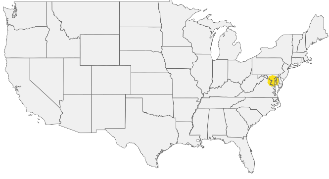 HIRING AREA