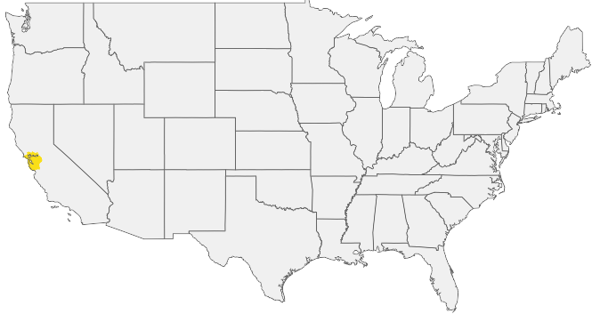 HIRING AREA