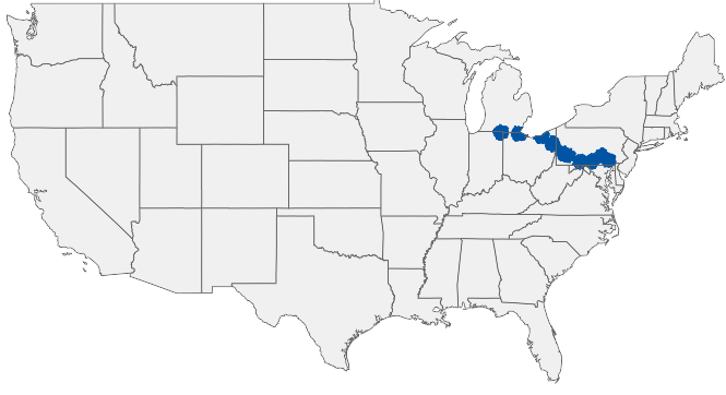HIRING AREA