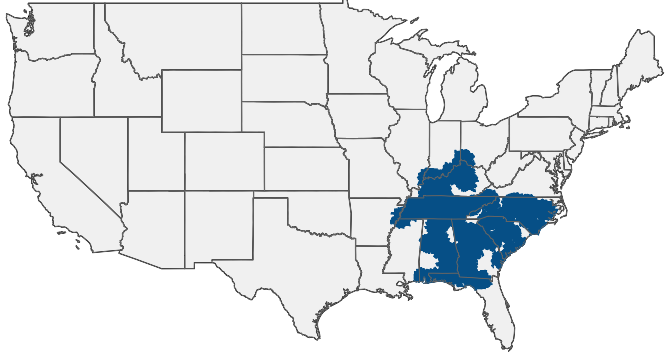 Alabama Motor Express Hiring Area
