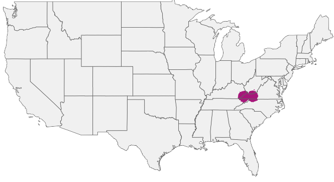 HIRING AREA