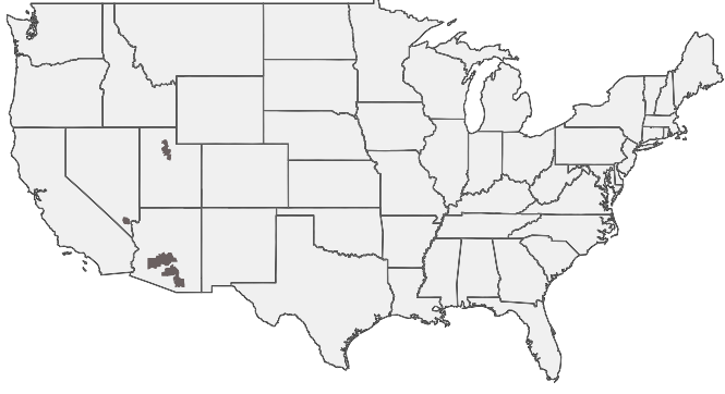 HIRING AREA