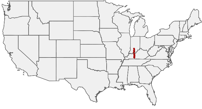HIRING AREA