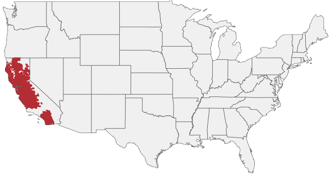 HIRING AREA