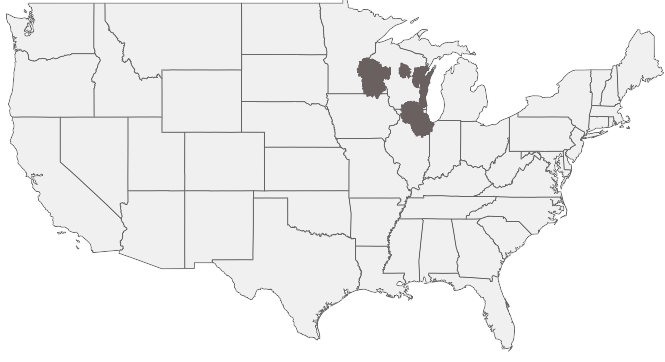 HIRING AREA