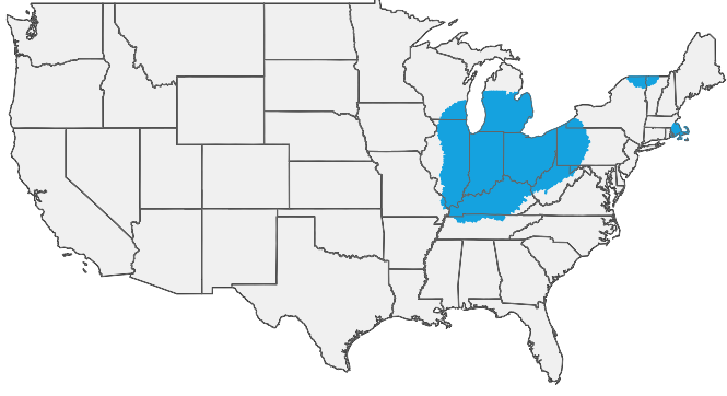 HIRING AREA