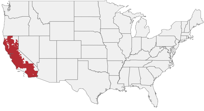 HIRING AREA