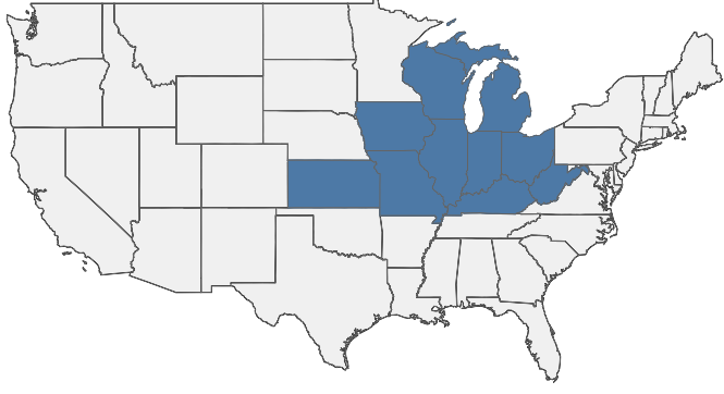 HIRING AREA