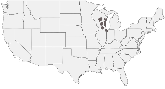 HIRING AREA