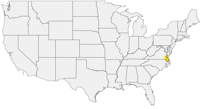 HIRING AREA