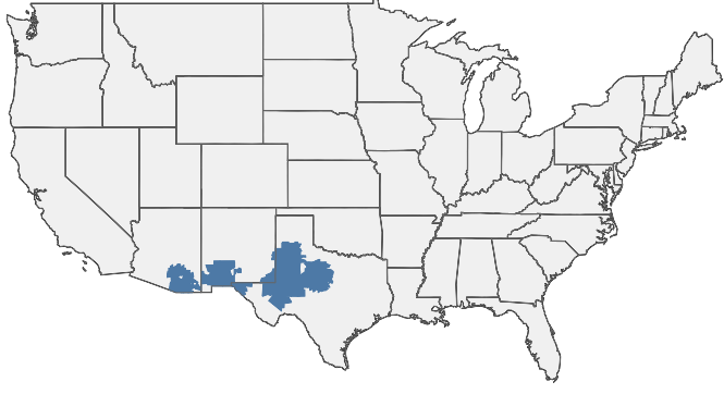 HIRING AREA