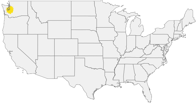 HIRING AREA