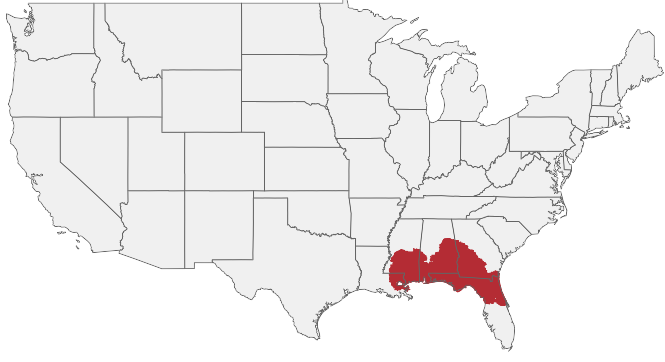 HIRING AREA