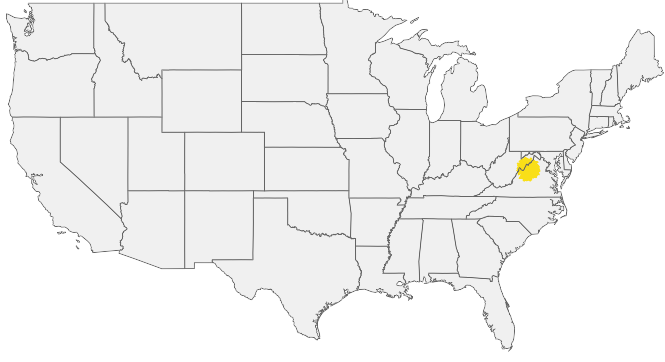 HIRING AREA