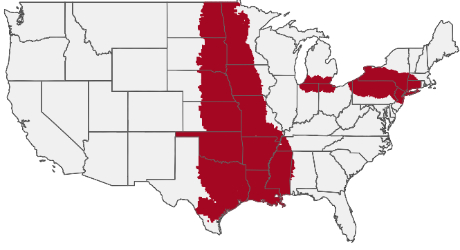 HIRING AREA