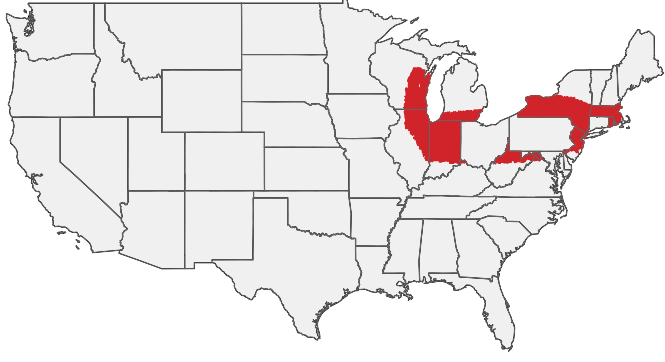 HIRING AREA