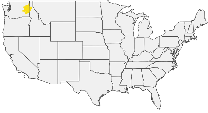 HIRING AREA