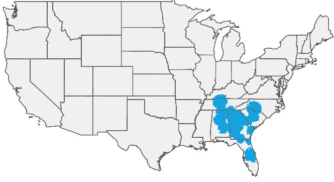 HIRING AREA