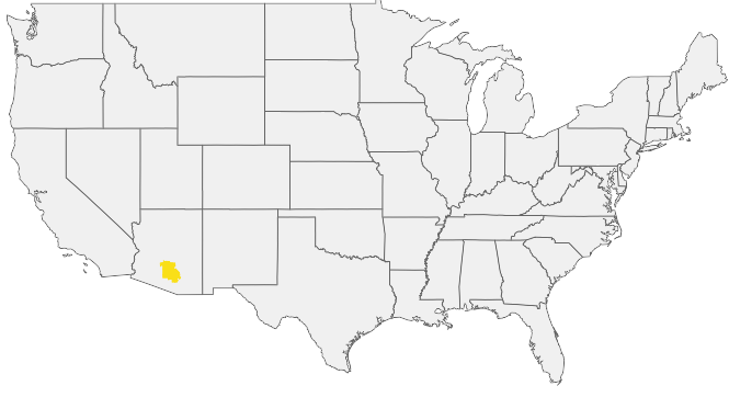 HIRING AREA