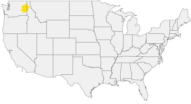 HIRING AREA