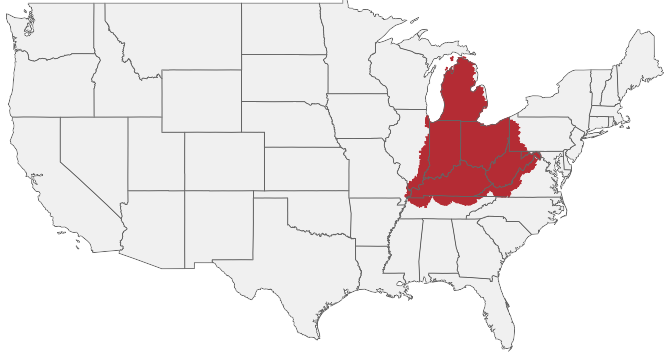 HIRING AREA